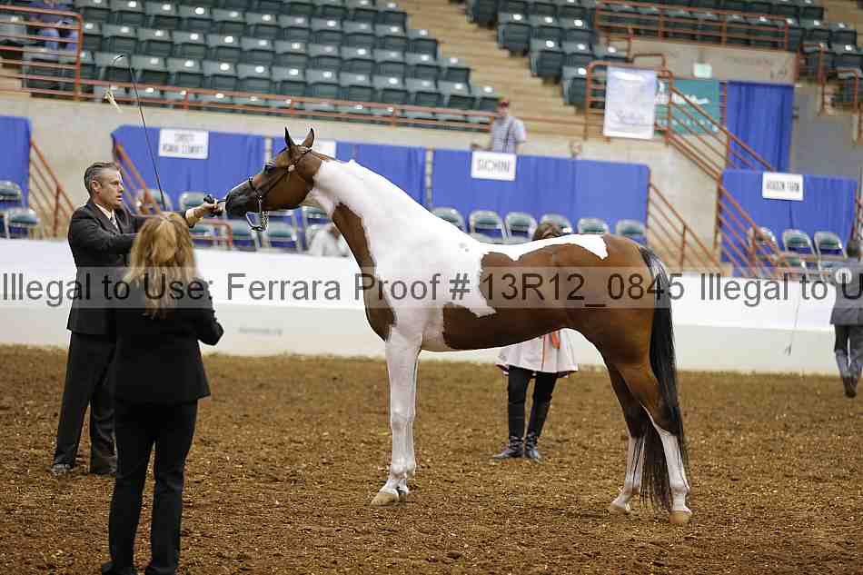 Proof Number 13r12_0845