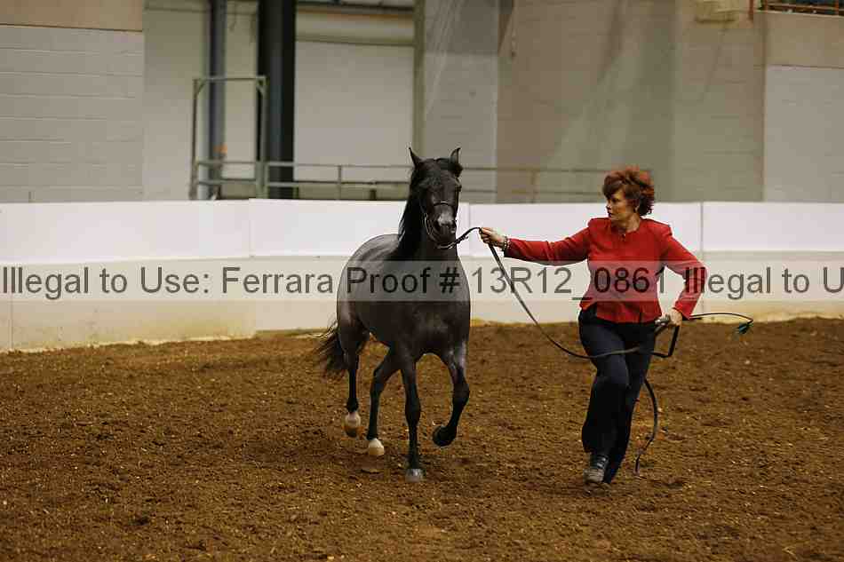 Proof Number 13r12_0861