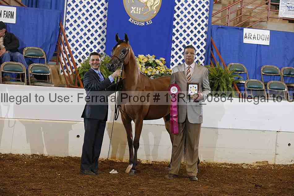 Proof Number 13r12_0864