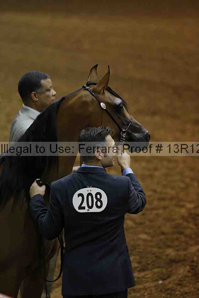 Proof Number 13r12_0866
