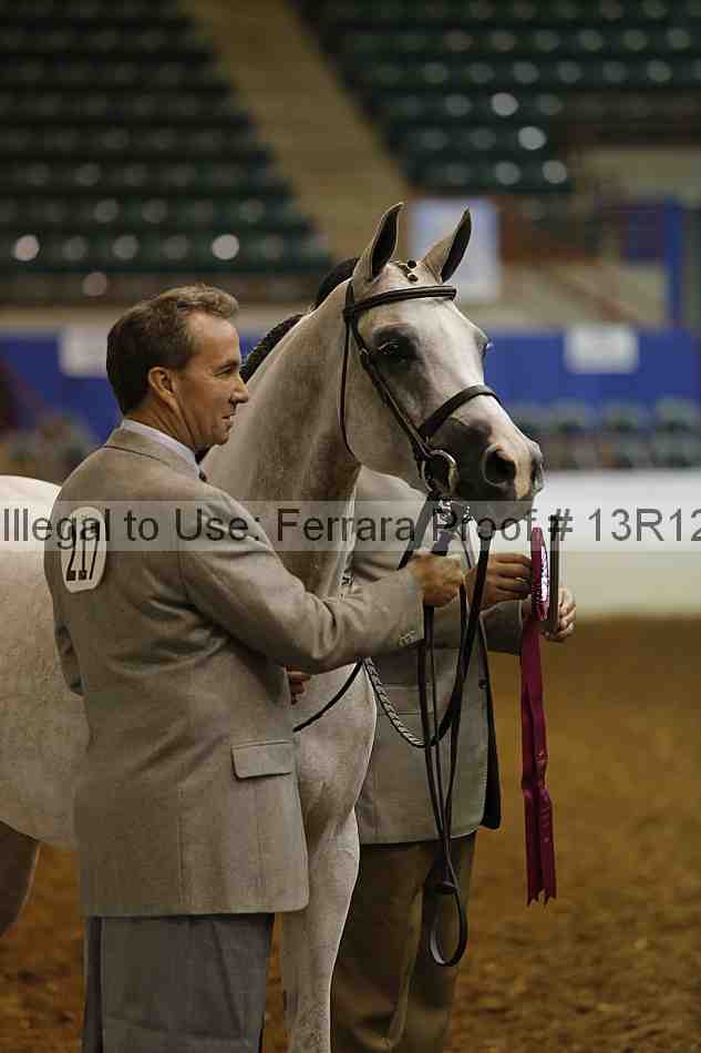 Proof Number 13r12_0869