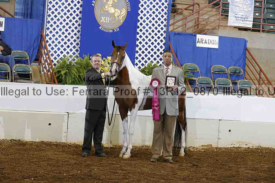 Proof Number 13r12_0870