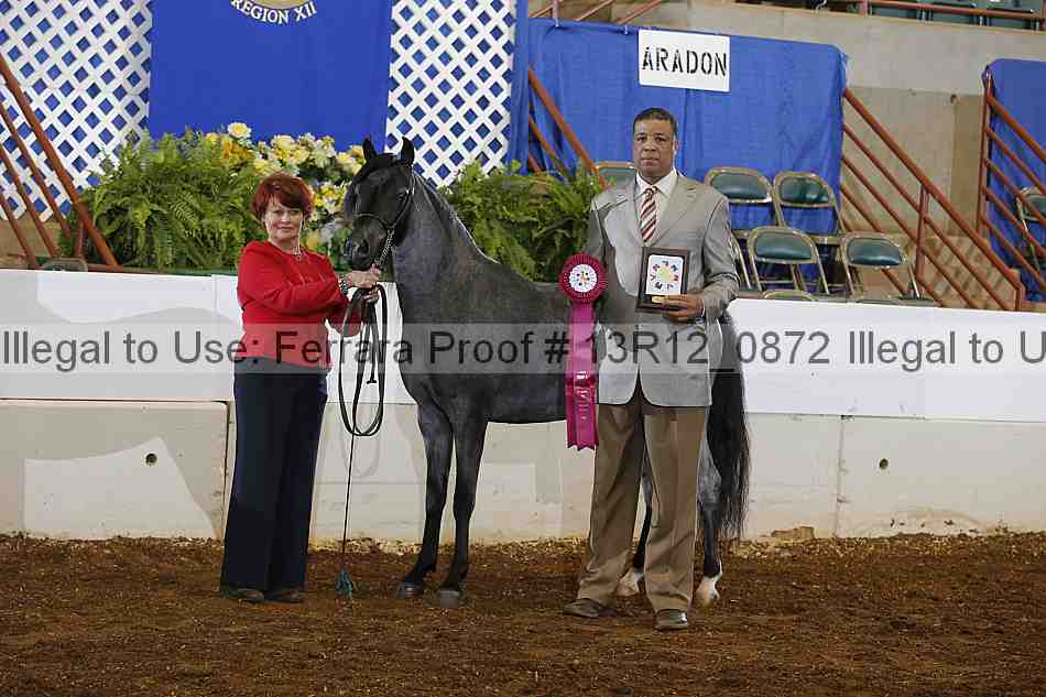 Proof Number 13r12_0872
