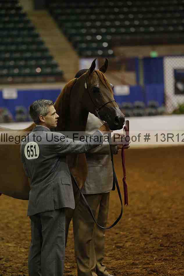 Proof Number 13r12_0877
