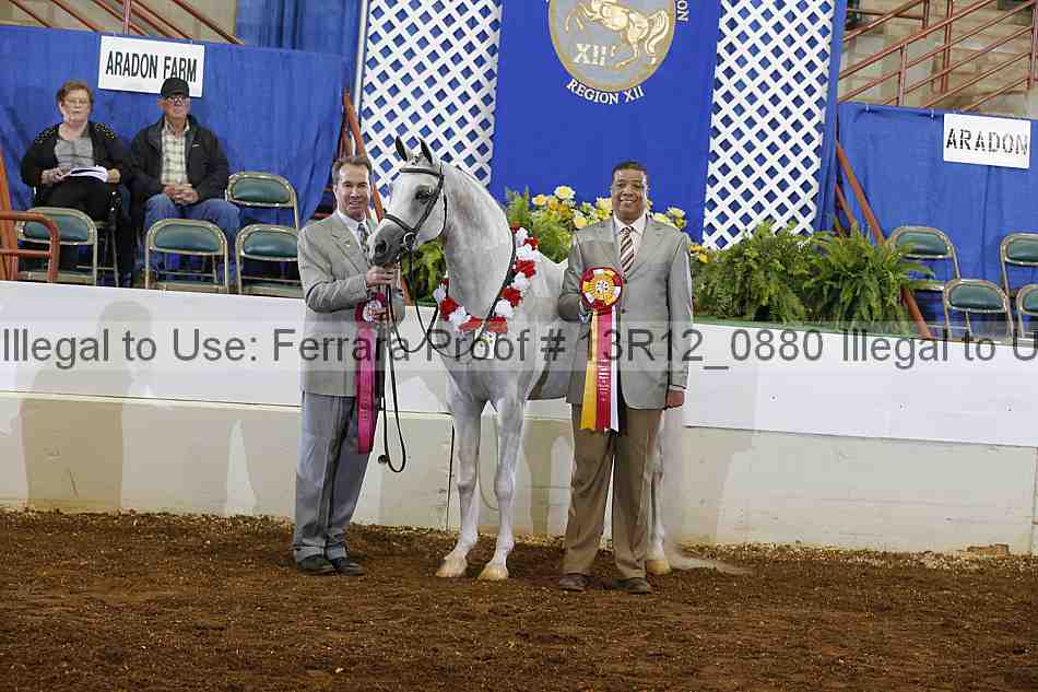 Proof Number 13r12_0880