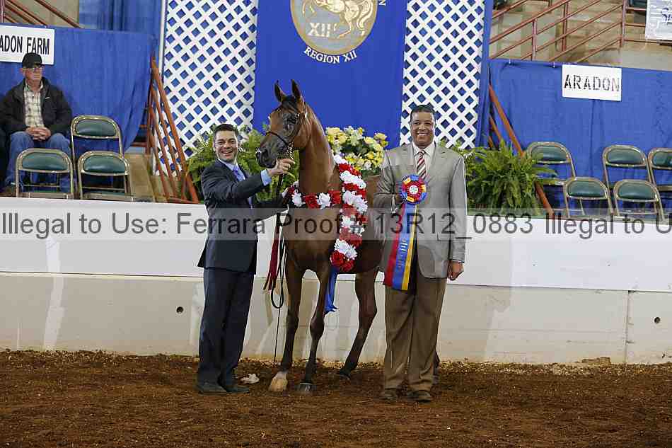 Proof Number 13r12_0883