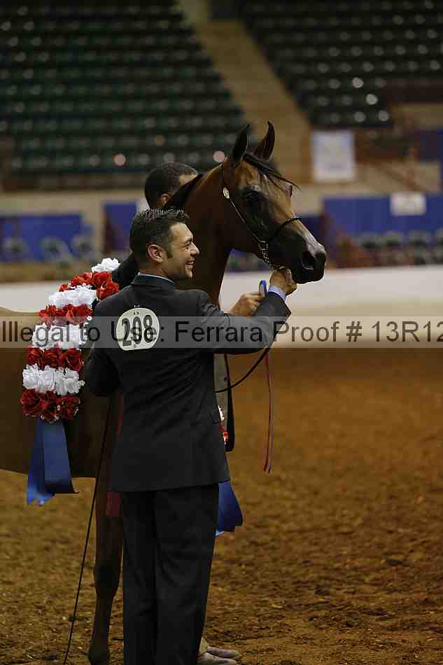 Proof Number 13r12_0886