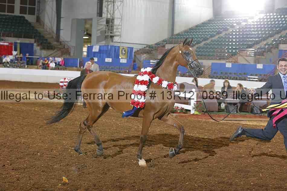 Proof Number 13r12_0889