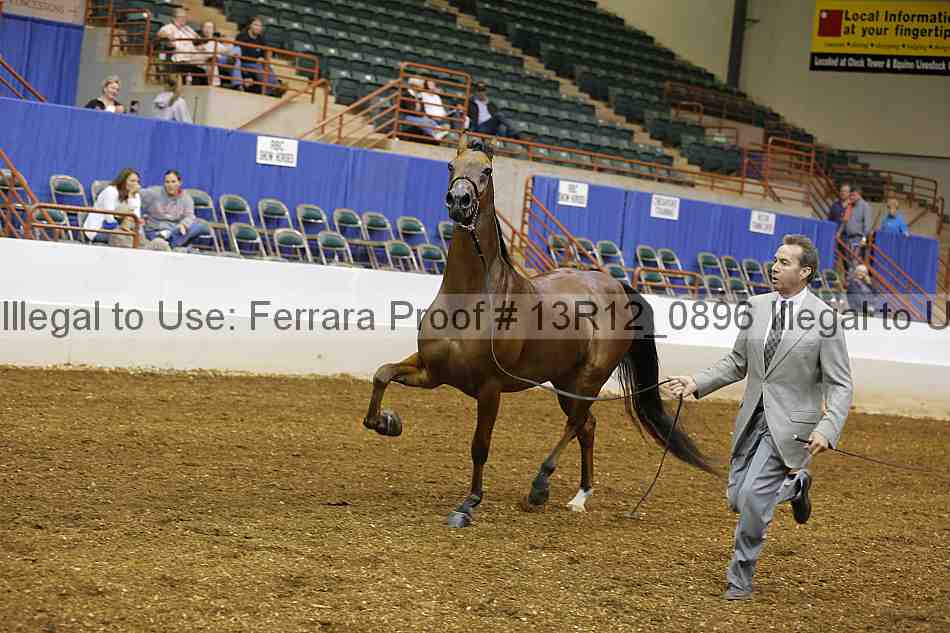 Proof Number 13r12_0896