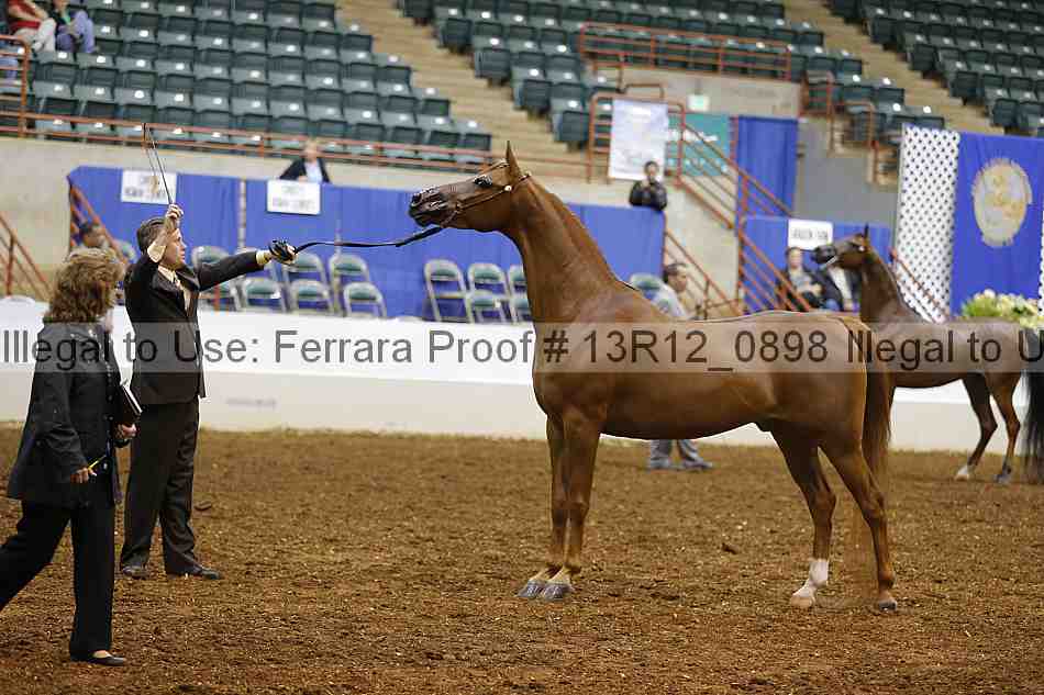 Proof Number 13r12_0898