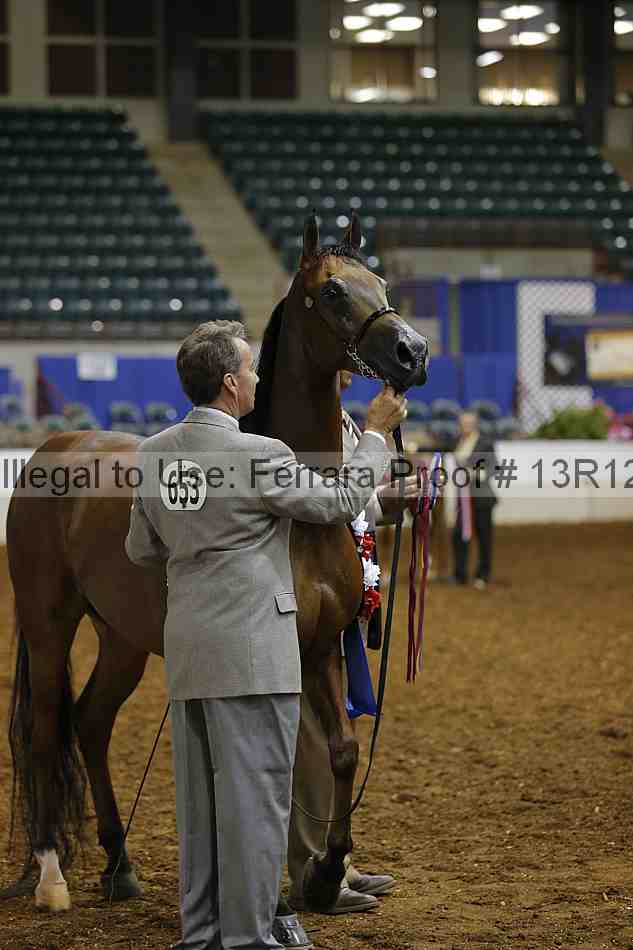 Proof Number 13r12_0915