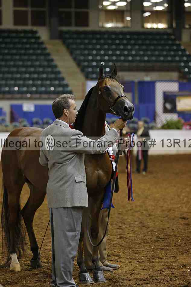 Proof Number 13r12_0916