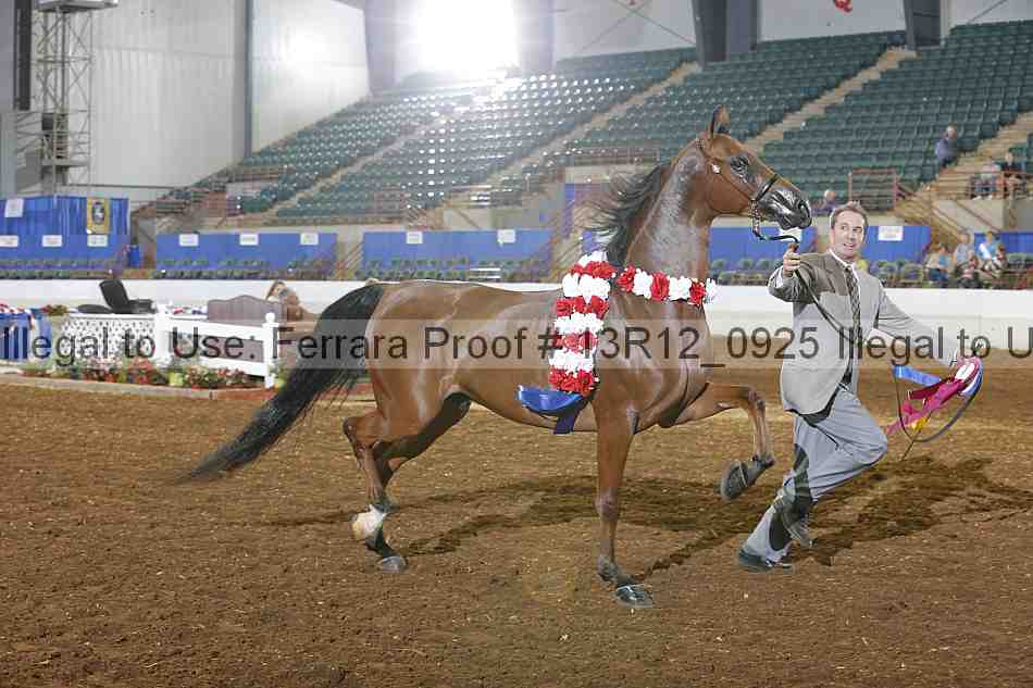 Proof Number 13r12_0925