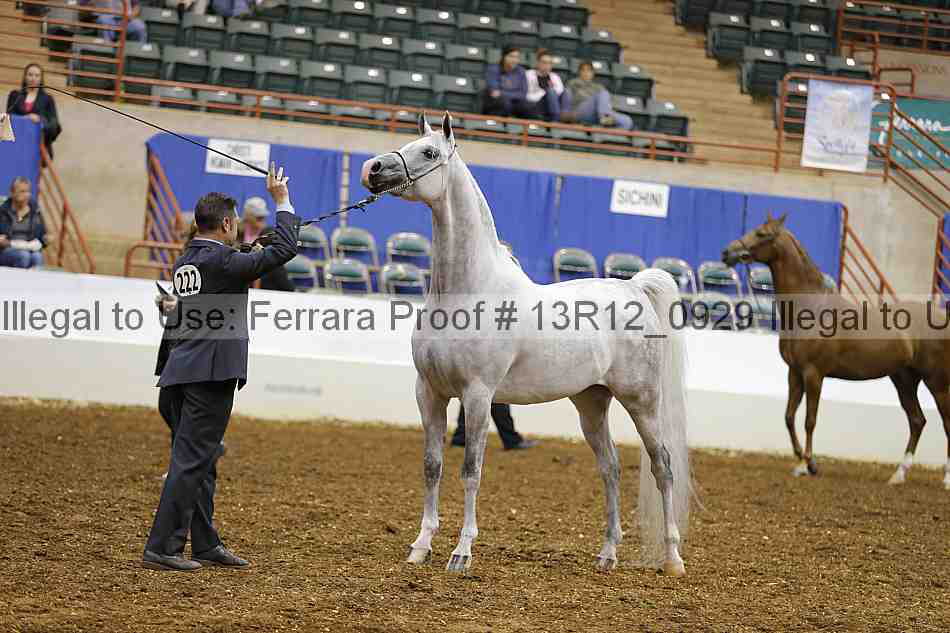 Proof Number 13r12_0929
