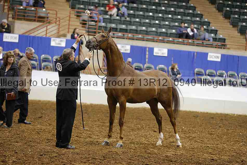 Proof Number 13r12_0940