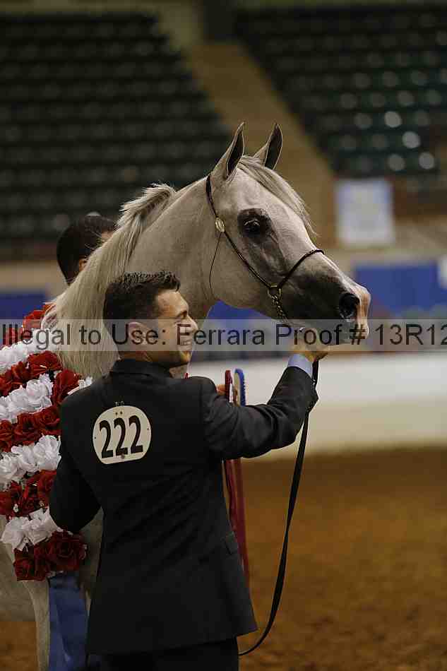 Proof Number 13r12_0951