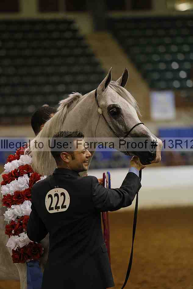 Proof Number 13r12_0952