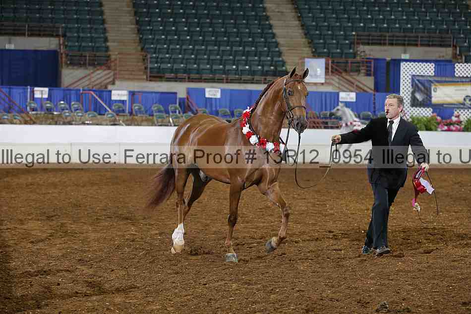 Proof Number 13r12_0954