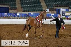 13r12_0954 thumbnail