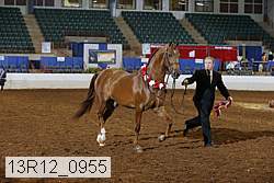 13r12_0955 thumbnail