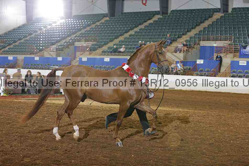 Proof Number 13r12_0956