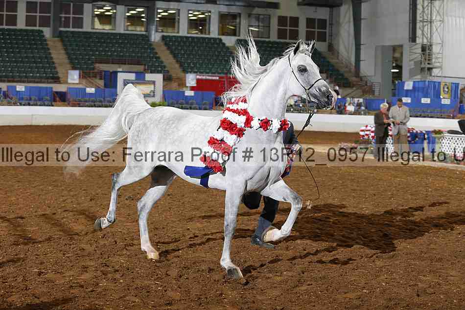 Proof Number 13r12_0957