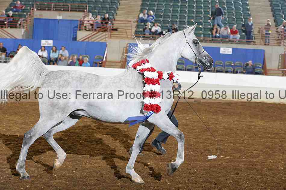Proof Number 13r12_0958