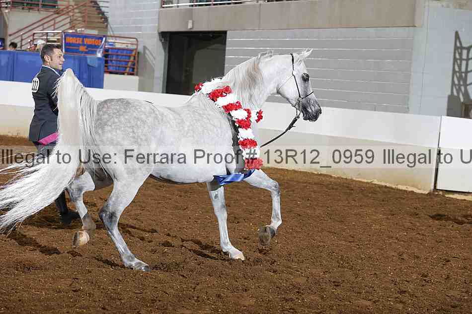 Proof Number 13r12_0959