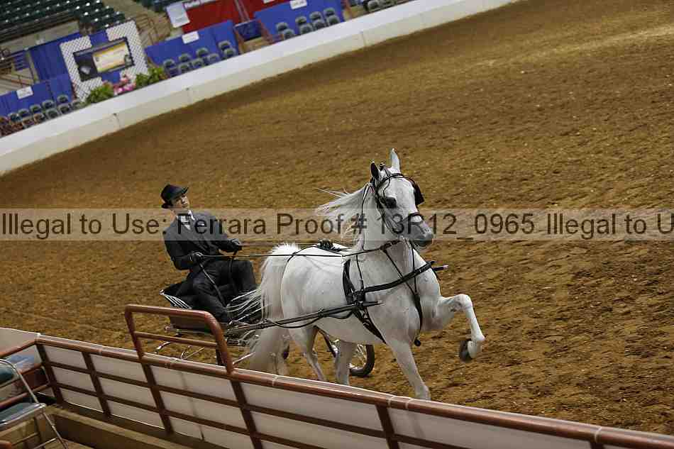 Proof Number 13r12_0965