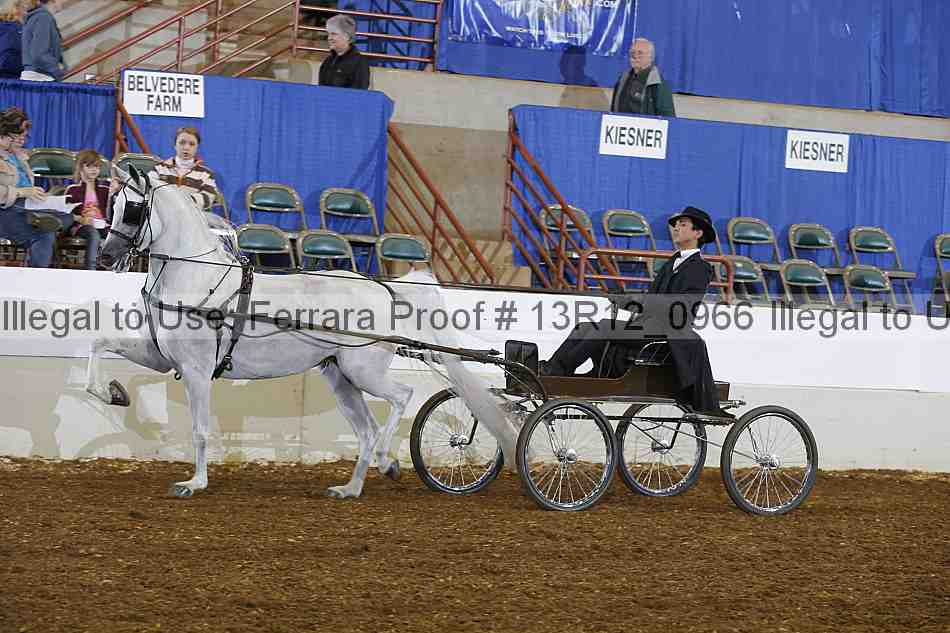 Proof Number 13r12_0966