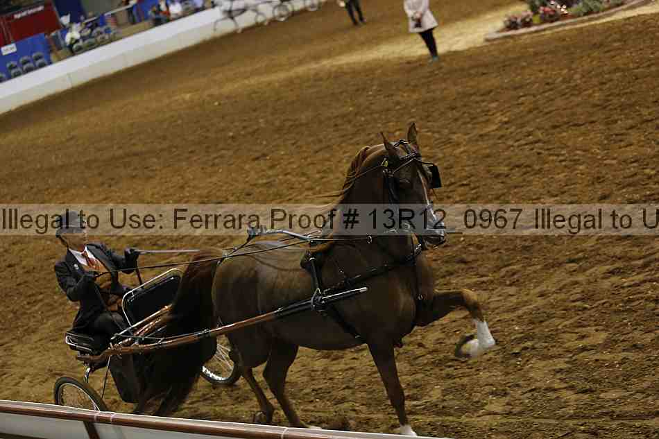 Proof Number 13r12_0967