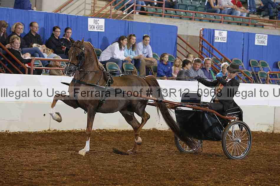 Proof Number 13r12_0968