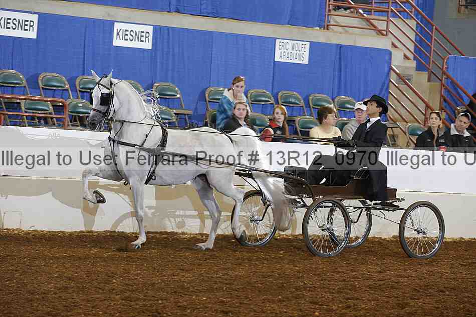 Proof Number 13r12_0970