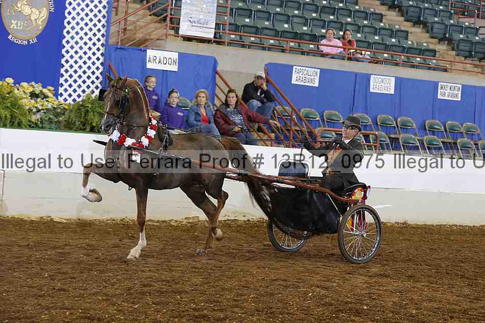 Proof Number 13r12_0975