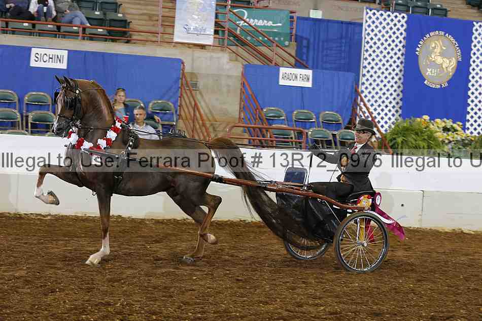 Proof Number 13r12_0976