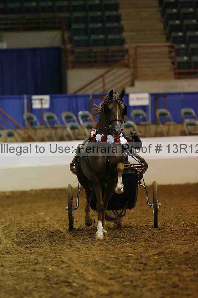 Proof Number 13r12_0978