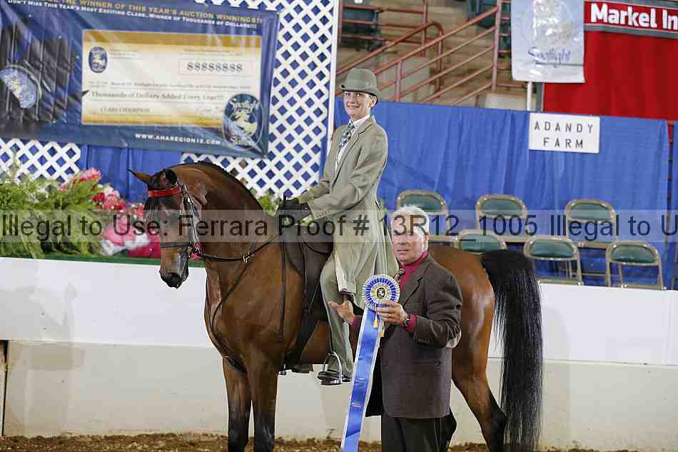 Proof Number 13r12_1005