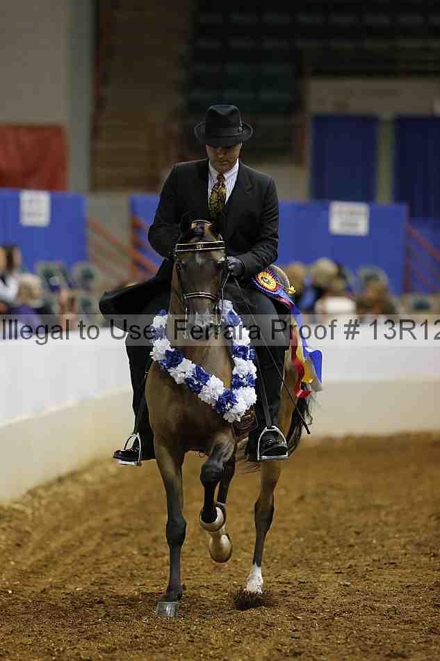 Proof Number 13r12_1016