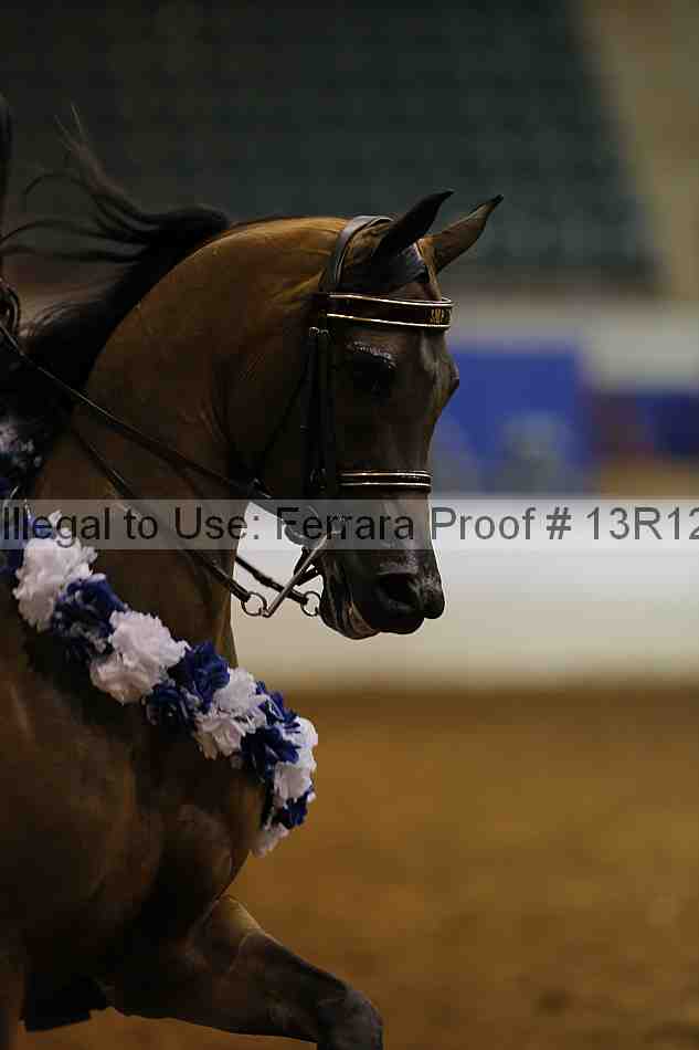 Proof Number 13r12_1020