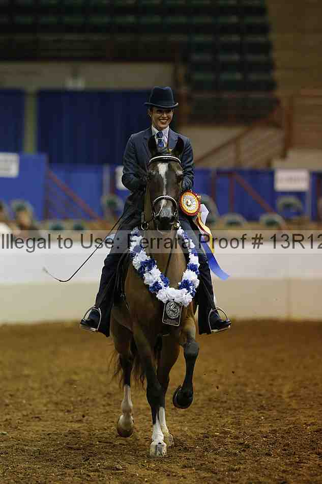 Proof Number 13r12_1023