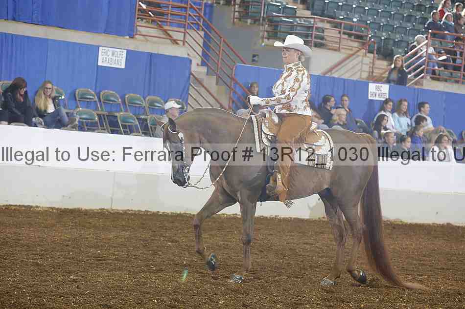 Proof Number 13r12_1030