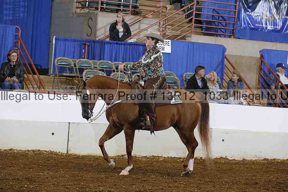 Proof Number 13r12_1033