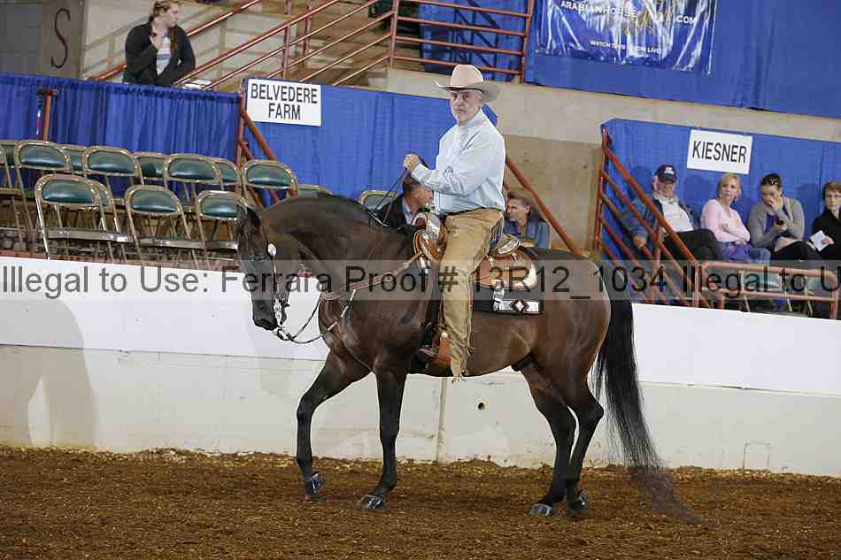 Proof Number 13r12_1034