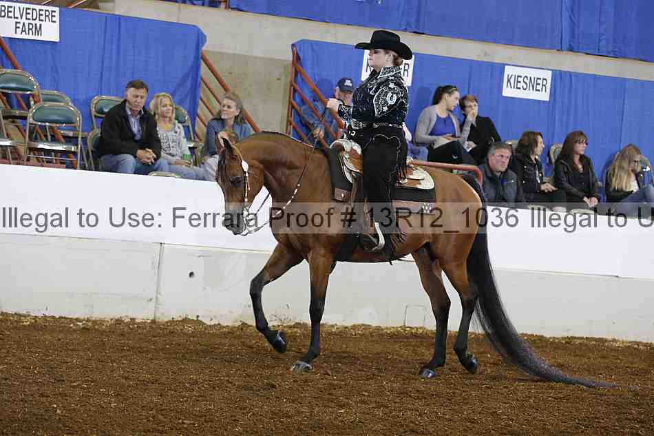 Proof Number 13r12_1036