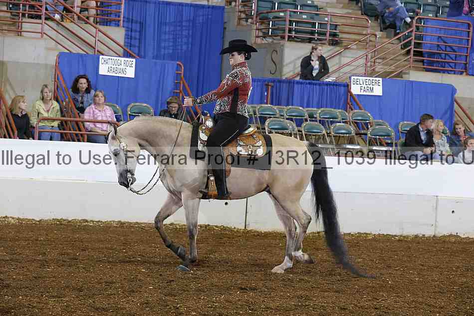 Proof Number 13r12_1039