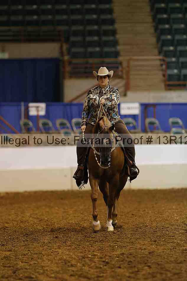 Proof Number 13r12_1042
