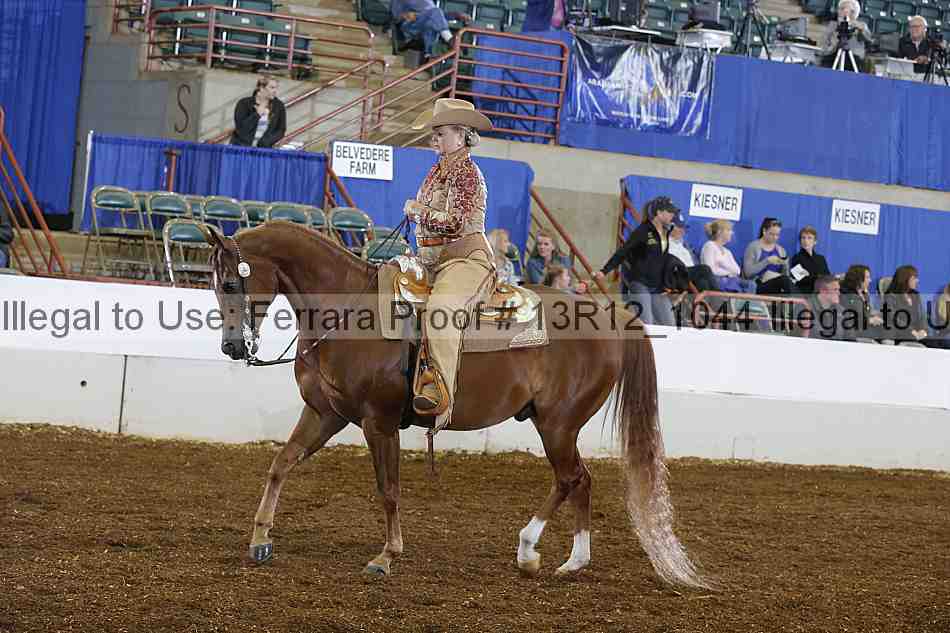 Proof Number 13r12_1044