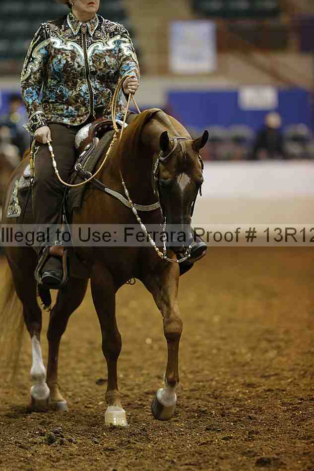 Proof Number 13r12_1045