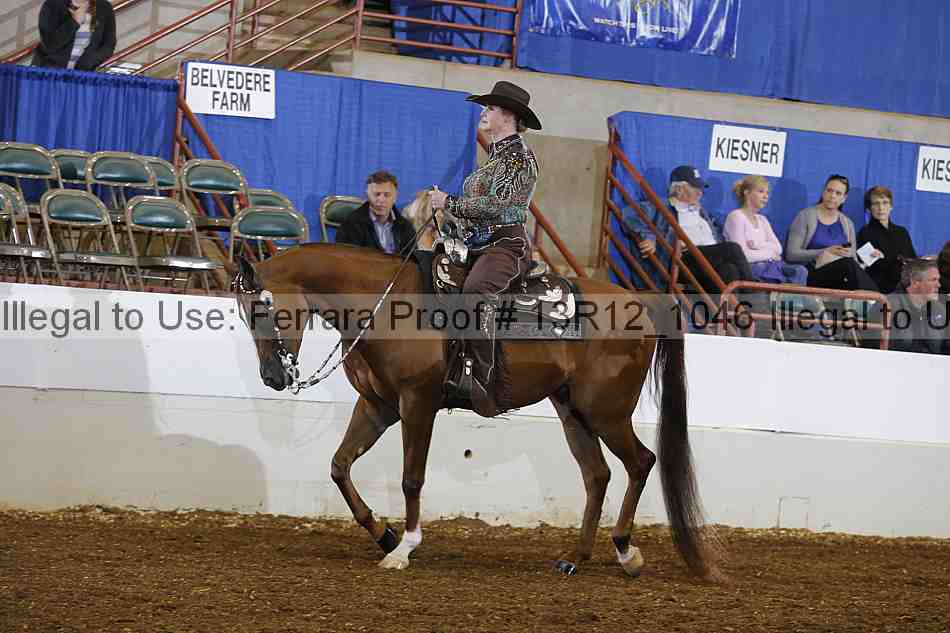 Proof Number 13r12_1046
