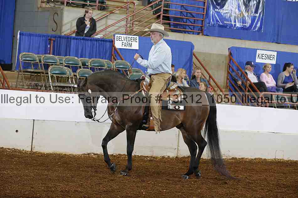 Proof Number 13r12_1050